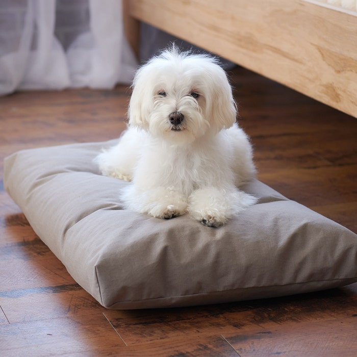 Dog laying on top of Naturepedic Organic Pet Bed with Washable Waterproof Cover 
